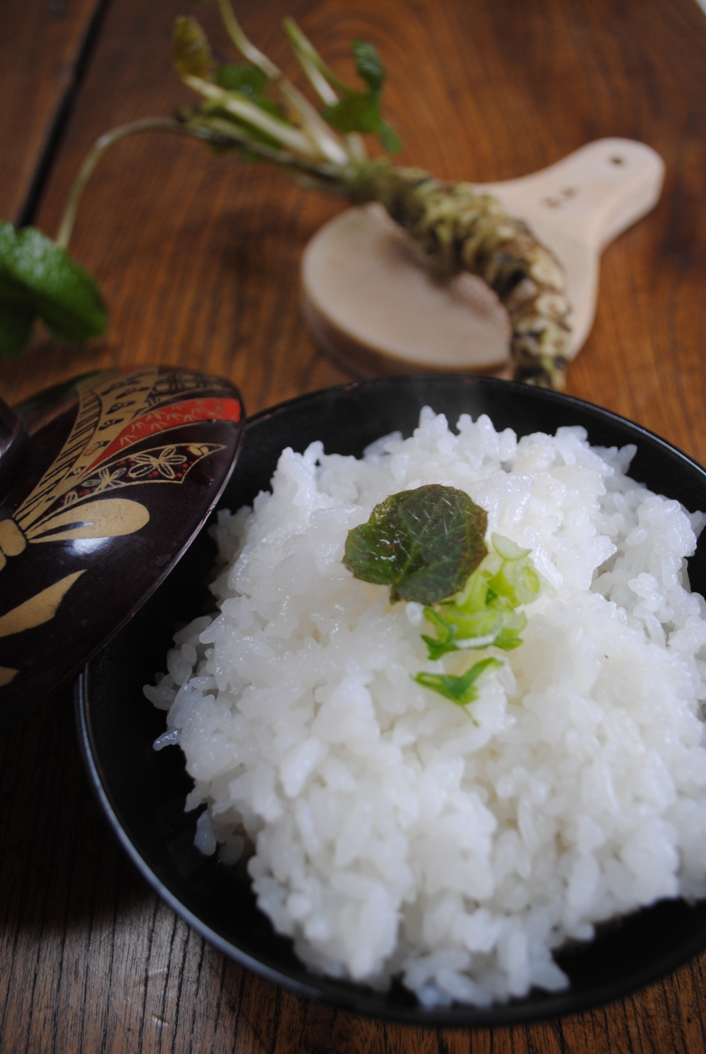 令和元年度 第3回県内研修会  作って、食べて 学ぶ うずめ飯とわさび漬け　　～匹見の田舎ツーリズムが出雲にやってくる～