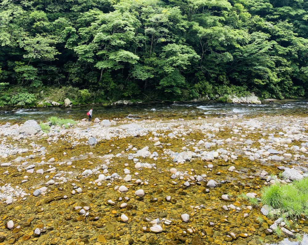 鮎釣り解禁