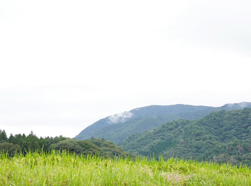 宿の周りに広がる田畑と山