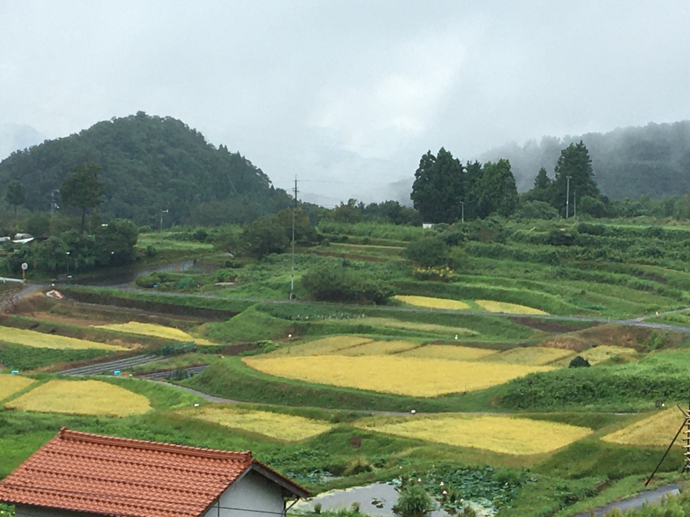 山王寺の棚田