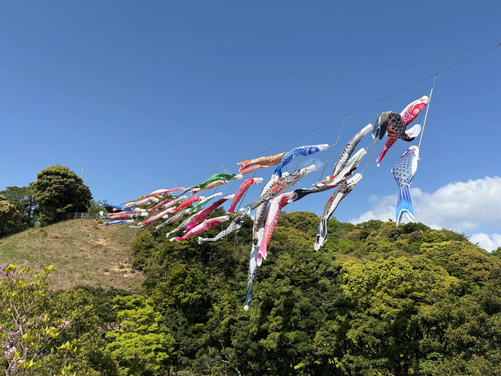 こいのぼりin万葉公園