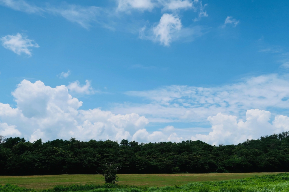 夏の空